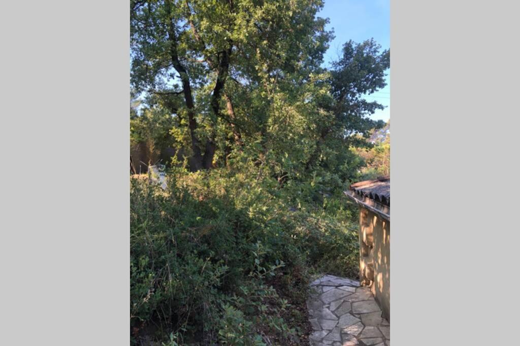 L'Escapade. Entre Aix Et Marseille, Studio Pleine Nature. Fuveau Buitenkant foto